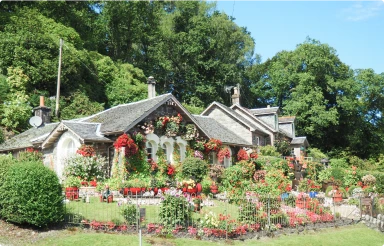 Giardini