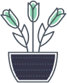 Aiuola fiorita